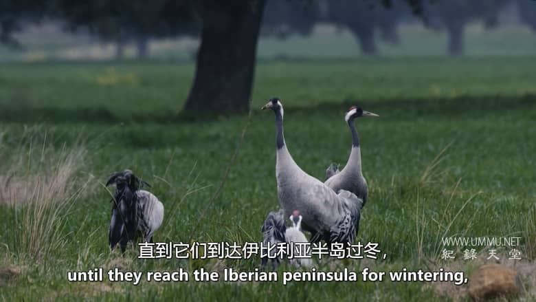 南方的冬天 A Southern Winter