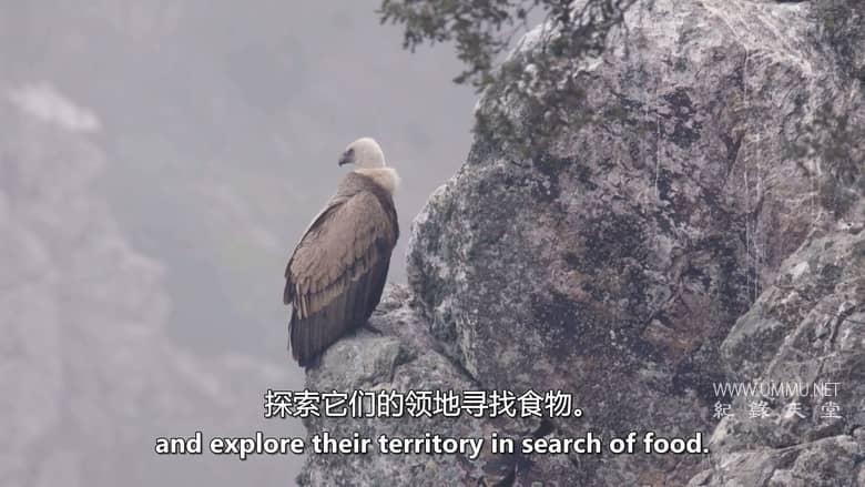 南方的冬天 A Southern Winter