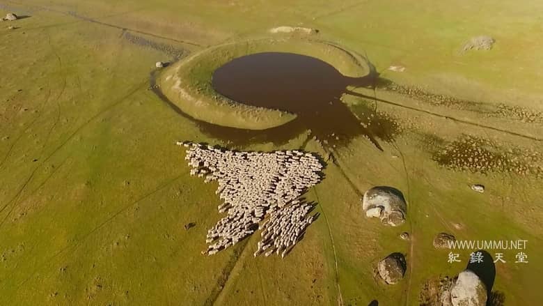 南方的冬天 A Southern Winter