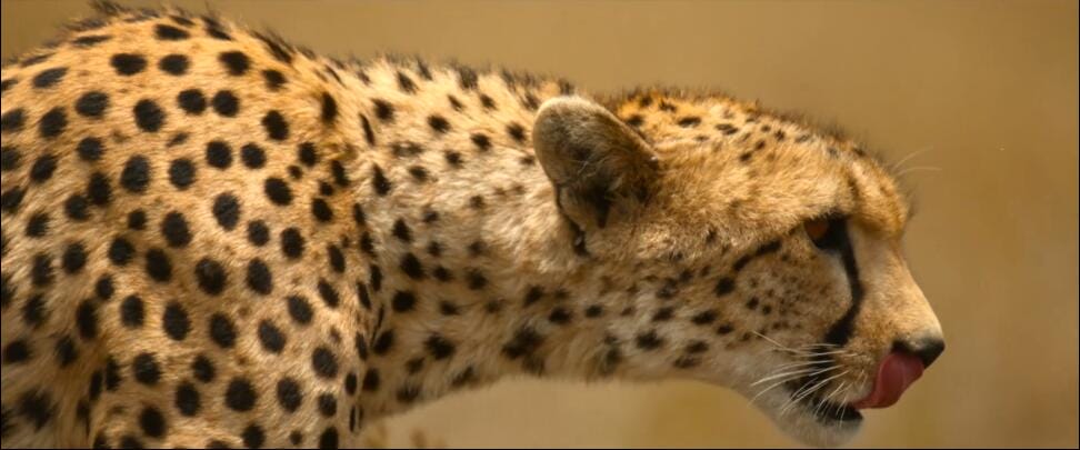 我们的浩瀚宇宙/我们的宇宙  第1季 Our Universe