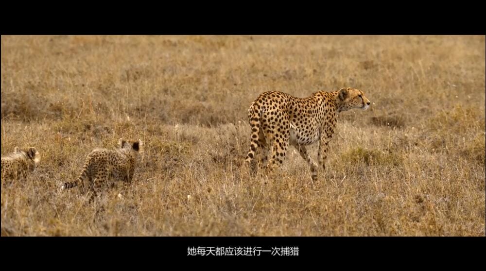 我们的浩瀚宇宙/我们的宇宙  第1季 Our Universe