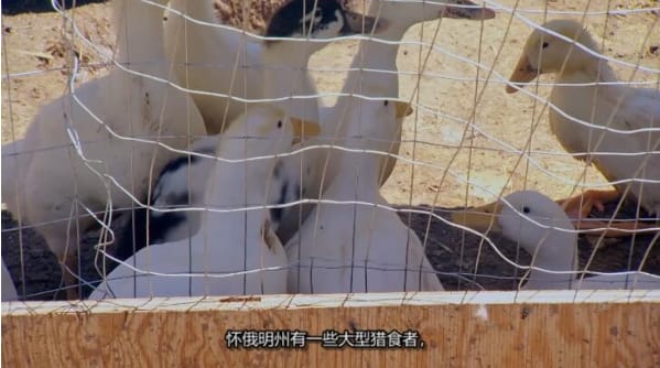 抢救脱网族 第10季  HOMESTEAD RESCUE