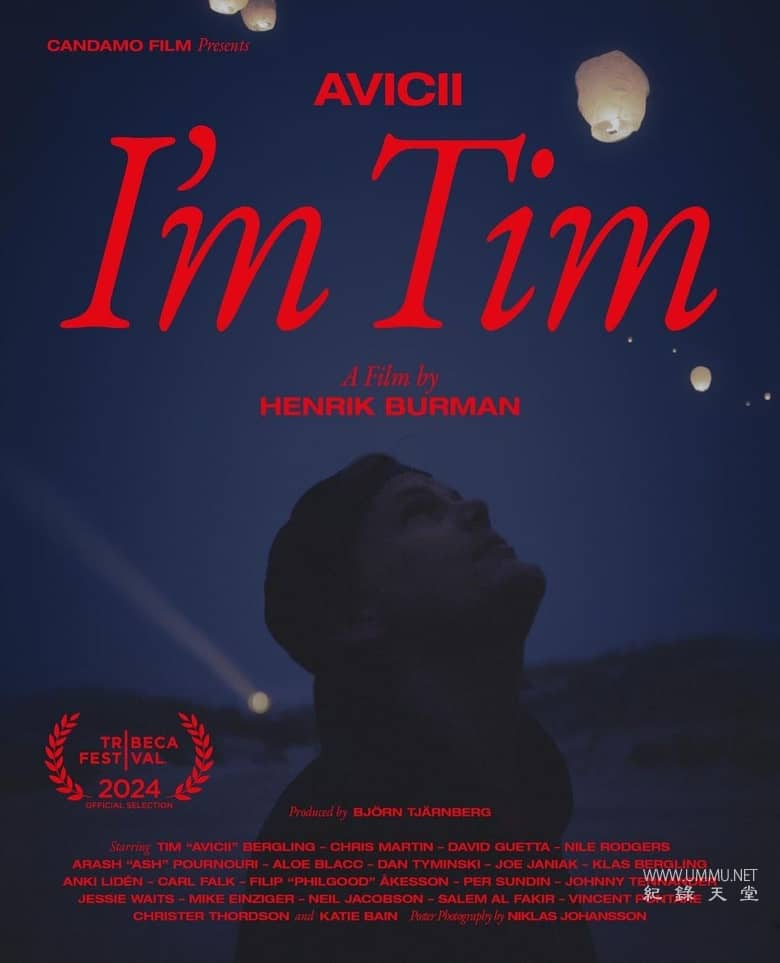 电音奇才艾维奇：蒂姆原色 Avicii – I'm Tim