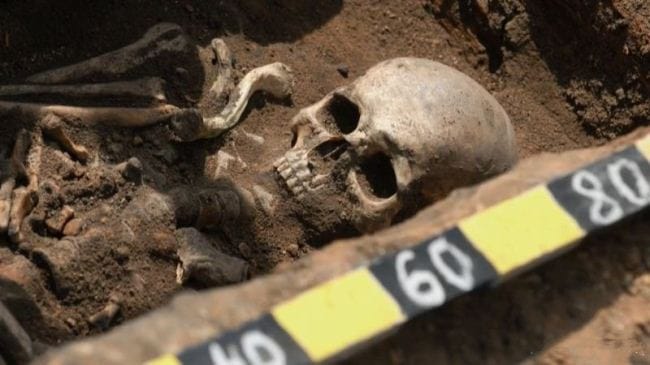 巨人族 A Race of Giants