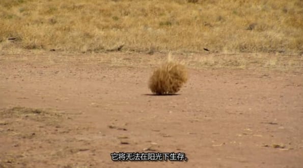 [抢救脱网族 第11季 HOMESTEAD RESCUE