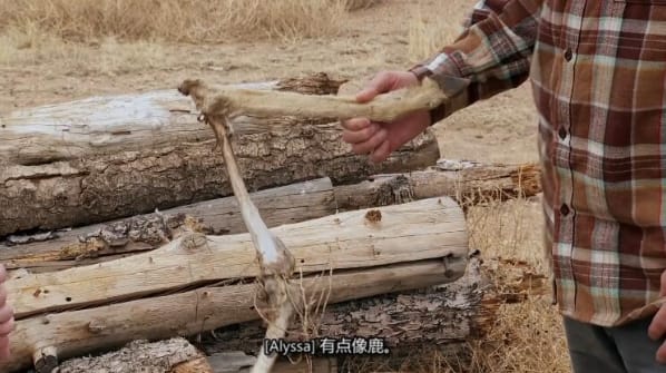 [抢救脱网族 第11季 HOMESTEAD RESCUE