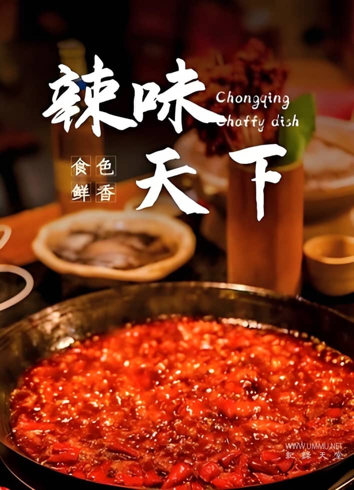 辣味天下 Chongqing Choffy Dish