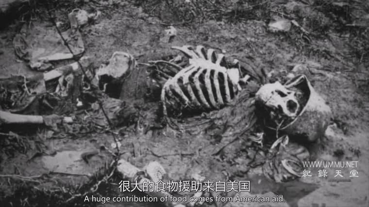 战争中的动物 Animali nella Grande Guerra