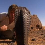 蛇王 奥斯汀·史蒂文斯 Austin Stevens Snakemaster