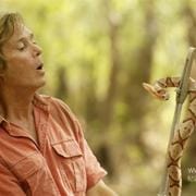 蛇王 奥斯汀·史蒂文斯 Austin Stevens Snakemaster