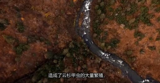 抢救脱网族 第5季  HOMESTEAD RESCUE