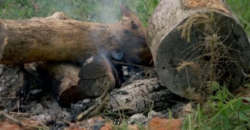 抢救脱网族  第4季  HOMESTEAD RESCUE