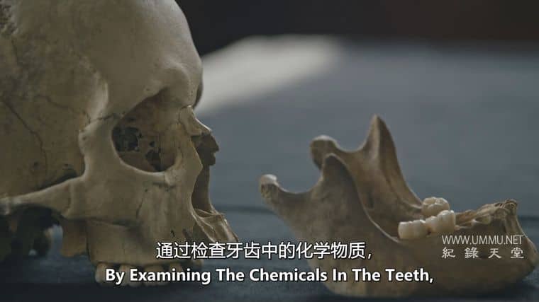 非洲与英国：被遗忘的历史 Black and British: A Forgotten History