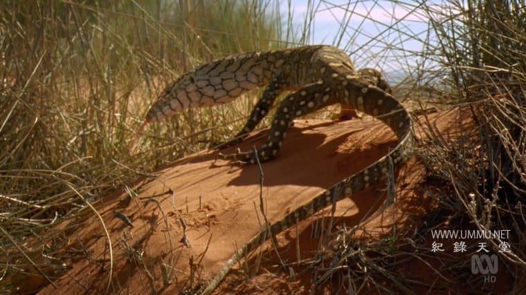 澳大利亚重制版 Australia Remastered