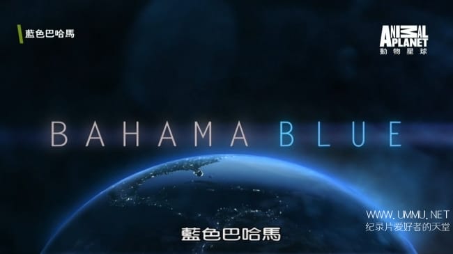 蓝色巴哈马：蓝洞与洞穴 Bahama Blue:Blue Holes And Caves