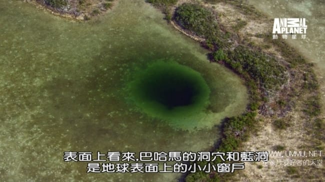 蓝色巴哈马：蓝洞与洞穴 Bahama Blue:Blue Holes And Caves
