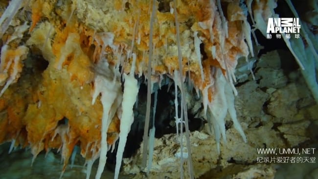 蓝色巴哈马：蓝洞与洞穴 Bahama Blue:Blue Holes And Caves