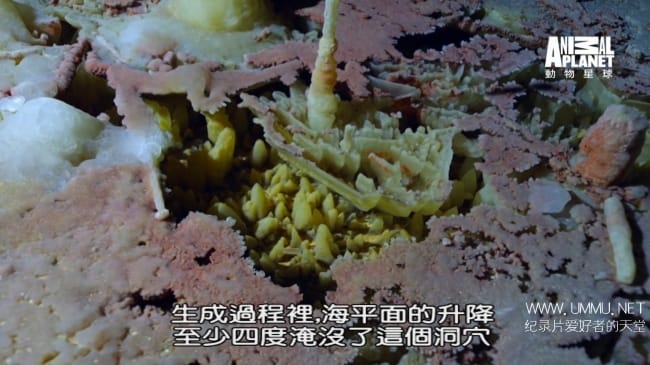 蓝色巴哈马：蓝洞与洞穴 Bahama Blue:Blue Holes And Caves