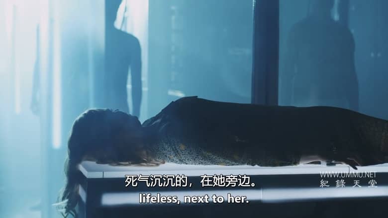 外星人遭遇：解密 Alien Encounters: Declassified