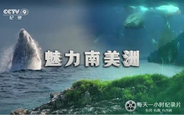 魅力南美洲/野性拉丁美洲 Wild Latin America 2018