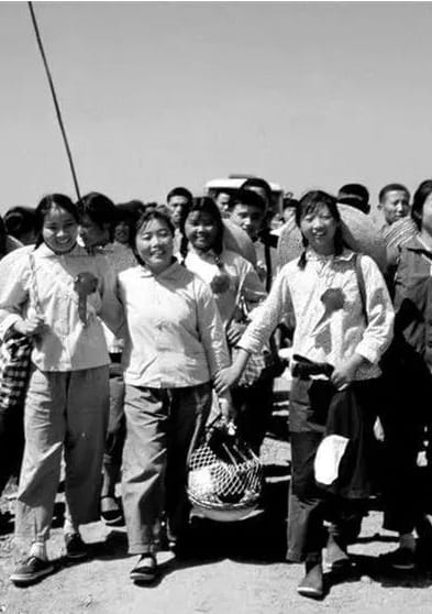 再见，知青精神病医院