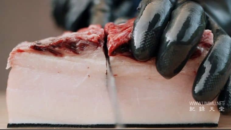 鲸鱼的味道 A Taste of Whale