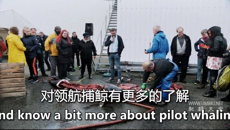 鲸鱼的味道 A Taste of Whale