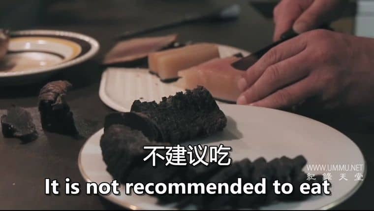 鲸鱼的味道 A Taste of Whale