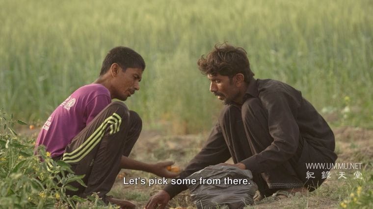 全力奔跑 As Far as They Can Run