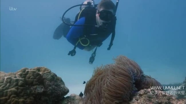 澳大利亚荒野 Australian Wilderness With Ray Mears