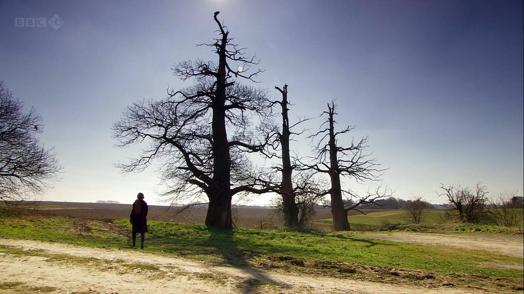 优雅与颓废：摄政时代 Elegance and Decadence: The Age of the Regency