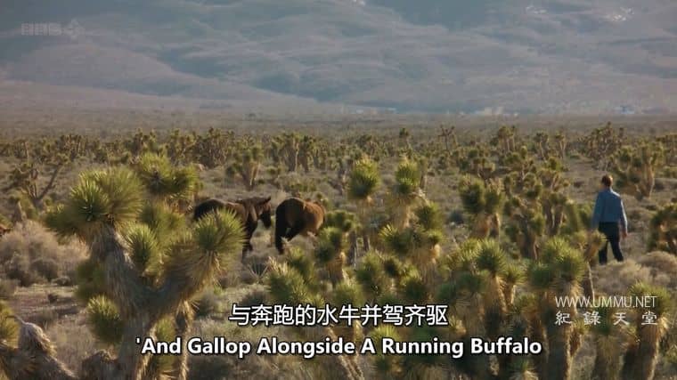 美国游牧民族 American Nomads