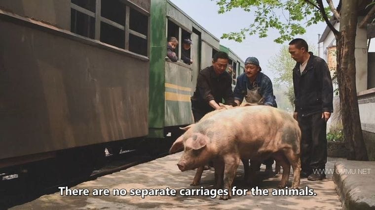 中国最后的小火车 Autentic China's Last Little Train