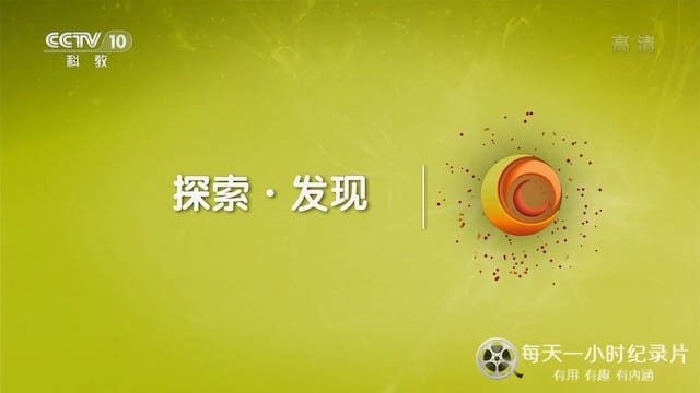 月河东周墓地 2021