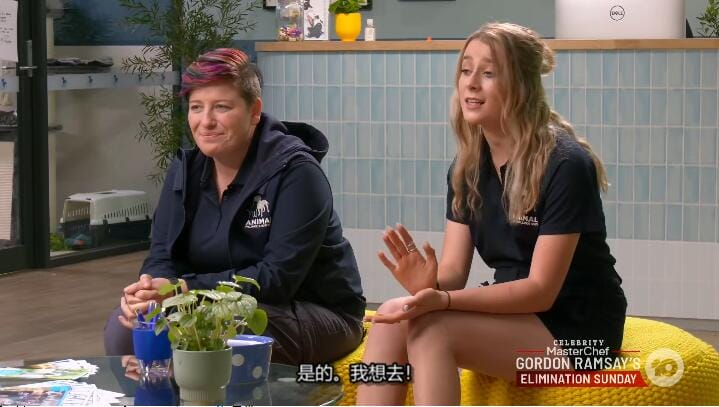 狗狗之家  第5季  The Dog House