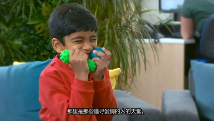 狗狗之家  第4季  The Dog House