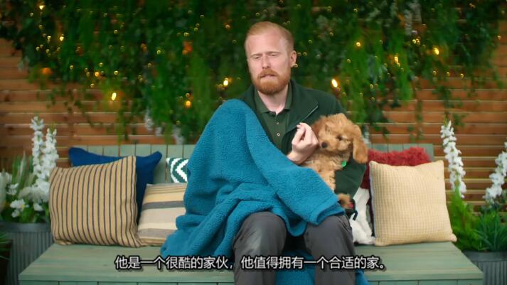 狗狗之家  第4季  The Dog House