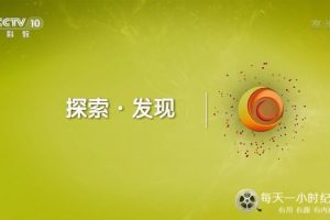 望父台一号大墓 2022