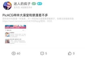 芥末社区系统 全套开源源码 带教程