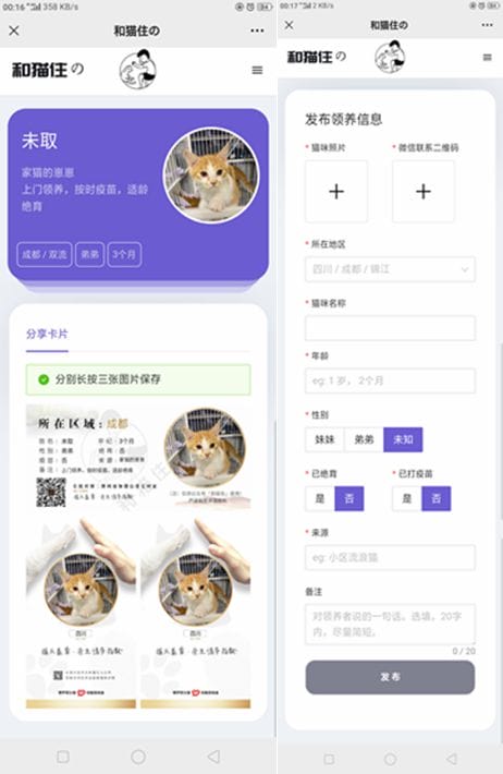 最新流浪猫流浪狗H5完整版程序源码下载/可封装APP
