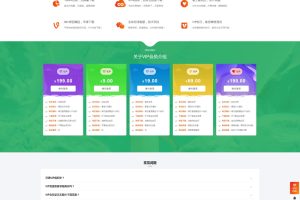 某站漂亮大气VIP会员介绍页面 html单页源码无需数据库