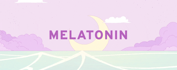 褪黑素|官方中文|支持手柄|Melatonin
