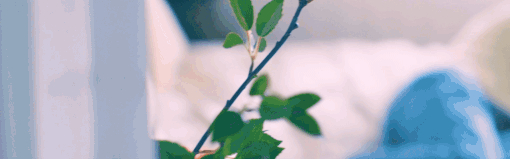 禁止过分投入|Build.12270780HF|官方中文|全DLC|Love Too Easily