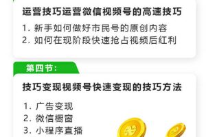 玩转微信视频号赚钱：小白变大咖 涨粉百万 实现快速变现1000万的现金流