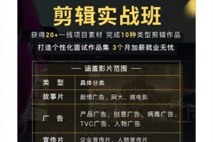 千万级商业项目剪辑实战班,10类剪辑实战,打造个性化作品