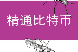 精通比特币(第一版)