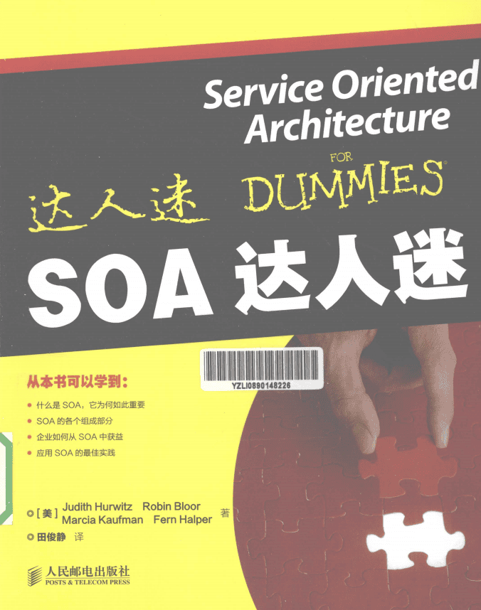 SOA达人迷（服务器架构书） PDF_服务器教程