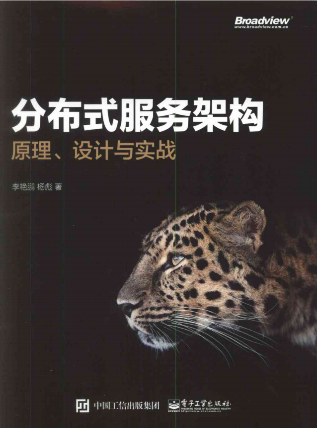 分布式服务架构：原理、设计与实战 完整pdf_服务器教程