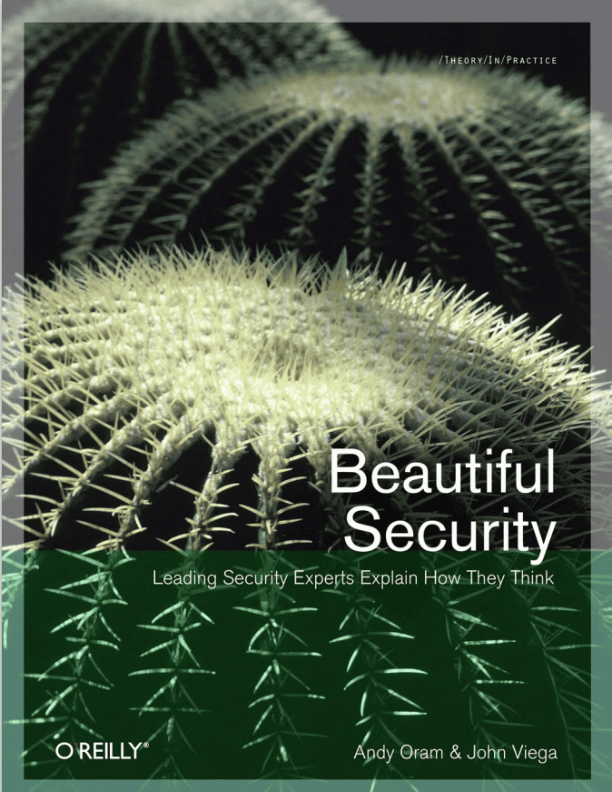 安全之美 英文pdf_黑客教程