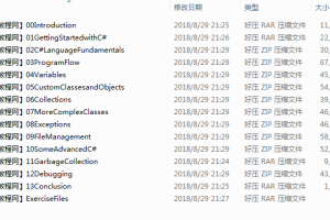 国外某知名网站:C#基础视频教程(全13集)_NET教程